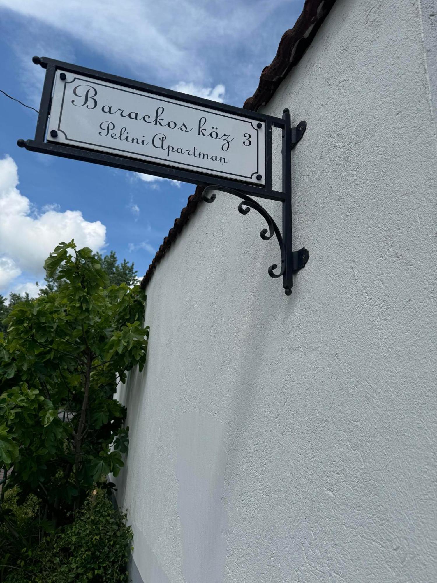 Pelini - 2 Apart otel Szentendre Dış mekan fotoğraf